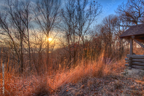 sunset from a wooded hilltop 