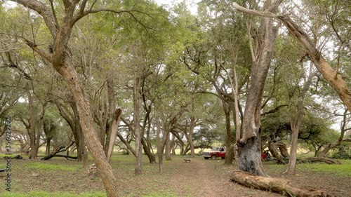 Parque en el Espinillo - Chaco