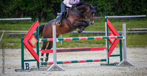 Show jumper (horse) with rider jumping over an obstacle..