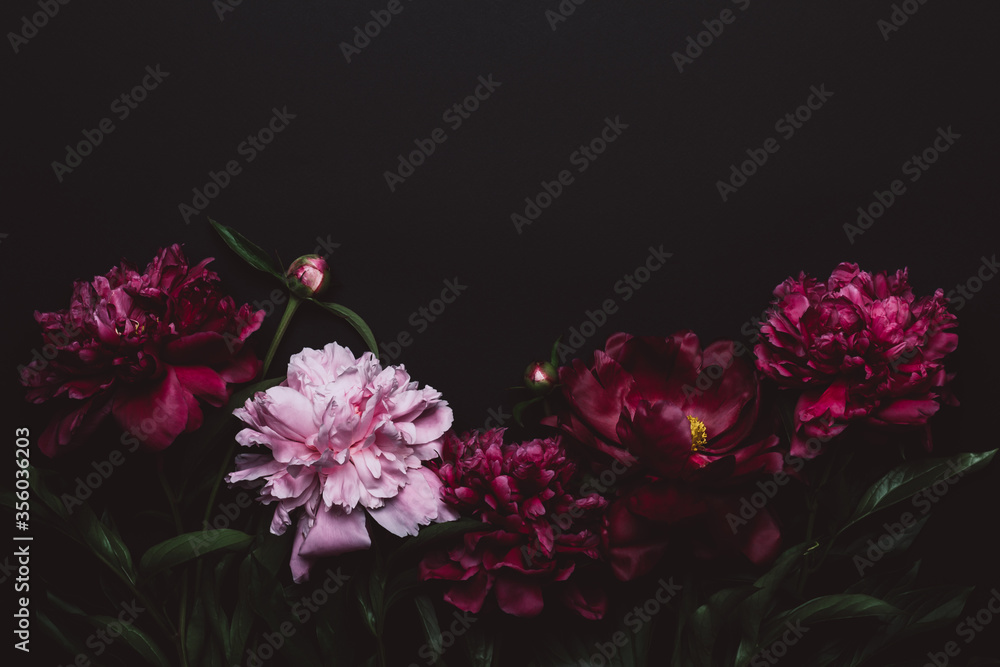 Black Floral background with beautiful dark peonies. Soft focus, copy space