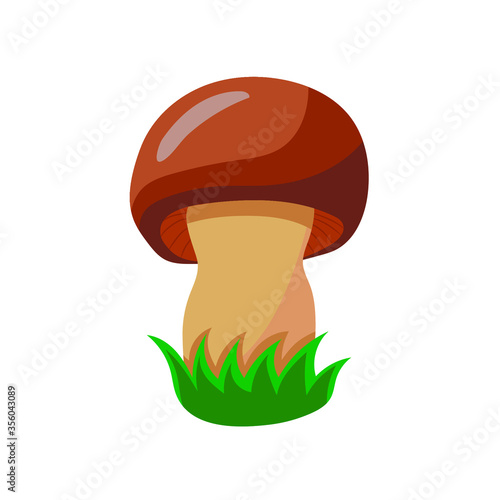 vector illustration of mushroom