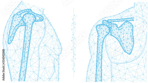Shoulder joint front and side view polygonal vector illustration. Anatomy of the human skeleton concept. Medical abstract low poly design on a white background