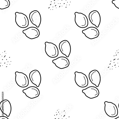 Patterns Sesame