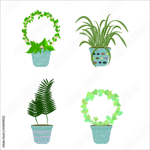 Set of indoor decorative plants in collectible pots. Vector flat cartoon illustration. Concept: decorations for the room, plants for the workplace, flowers in the winter garden, greenhouse.