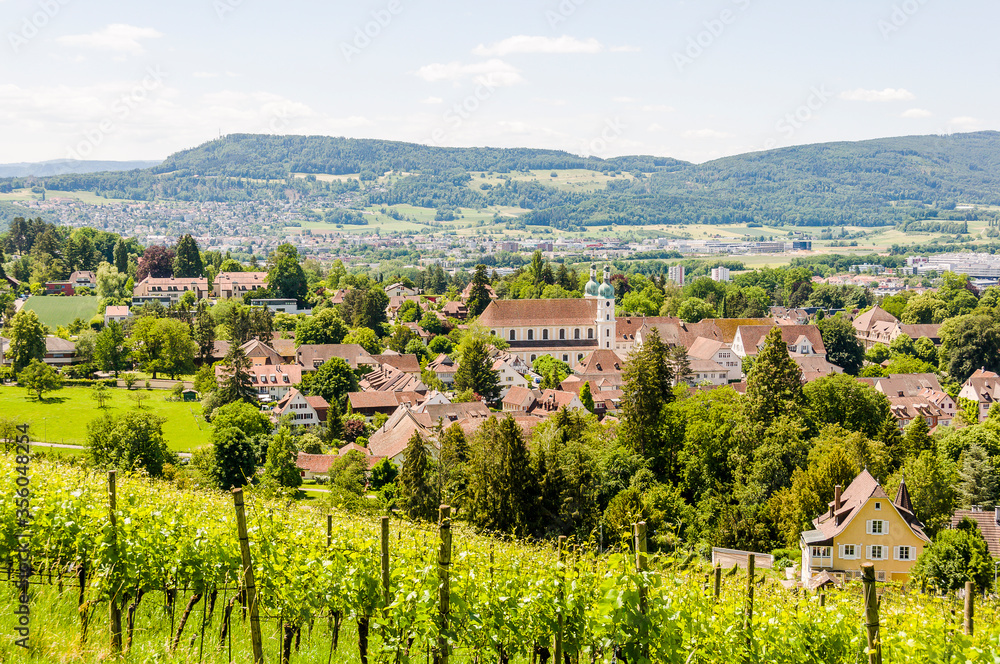 Arlesheim, Arlesheimer Dom, Dom, Domkirche, Weinberg, Dorfplatz, Dorf ...