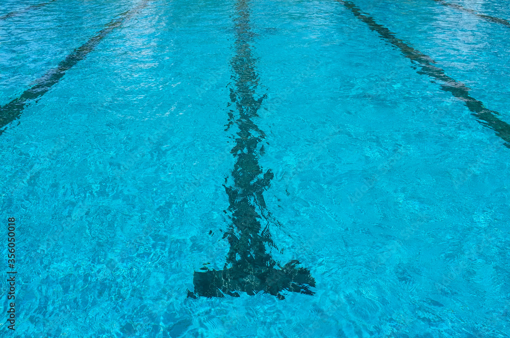 Swimming lane in the blue swimming pool