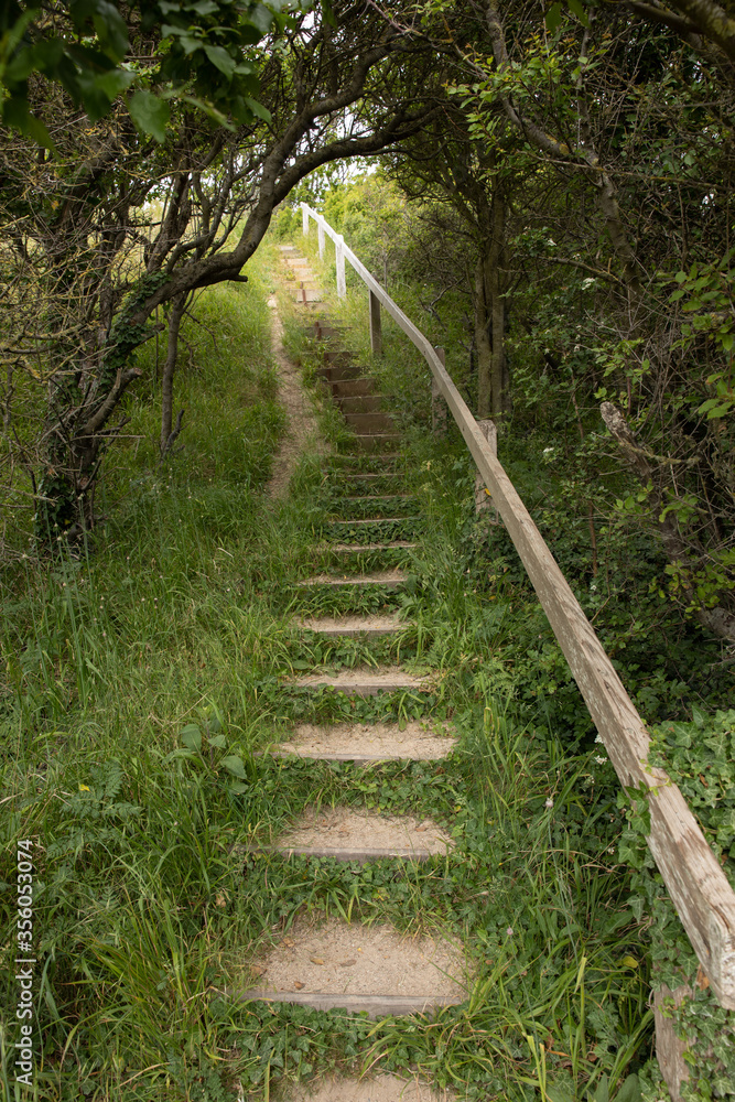 Obraz premium old staircase going up the hill 