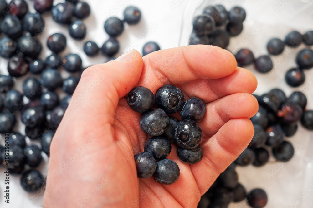 Fresh juicy blue berry in a hand in focus. Blue berry on a white surface out of focus. Fresh juicy blue berry in a hand in focus. Blue berry on a white surface out of focus.