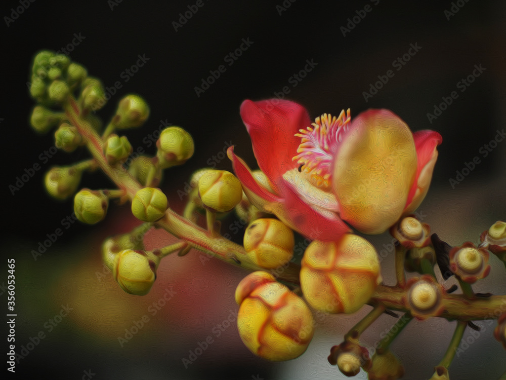 Fototapeta premium oil paint raw Shorea robusta and wihte background