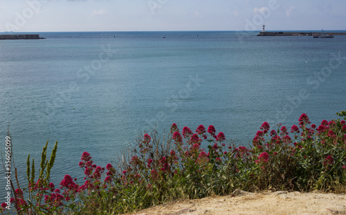 View of the bay of the city of Sevastopol and red flowers in the foreground