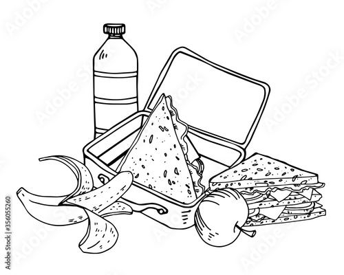 Composition with luncbox, sandwiches, fruits and bottle of water. Hand drawn vector sketch outline illustration