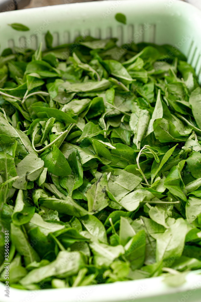 A basket of wolfberry leaves and green leafy vegetables being washed A basket of wolfberry leaves and green leafy vegetables being washed