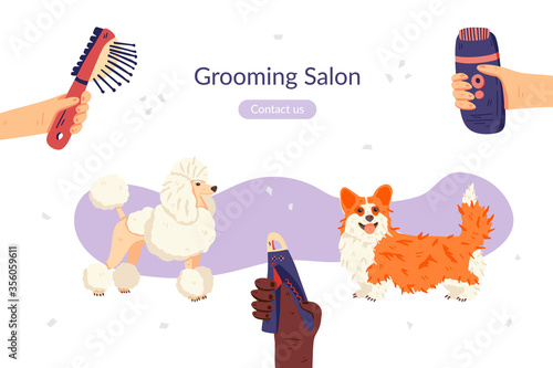 Grooming salon landing page template. Flat Corgi and Poodle dog breeds. Groomers hands with tools around. Vector illustration. For pet care social network, animal guide, banner, flyer.