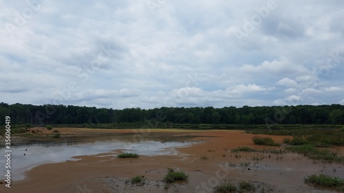 wetland or swamp with red algae bloom and water