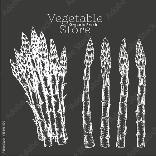 Hand drawn asparagus illustrations. Vector illustrations on chalk board