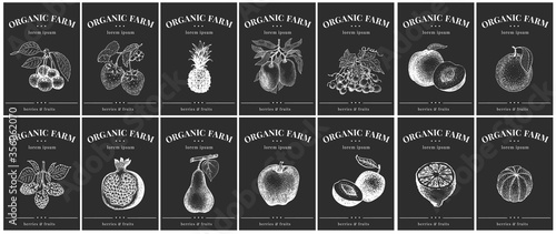 Labels with fruits and berries. Vintage set templates price tags for shops and markets of organic food. Vector illustrations on chalk board.