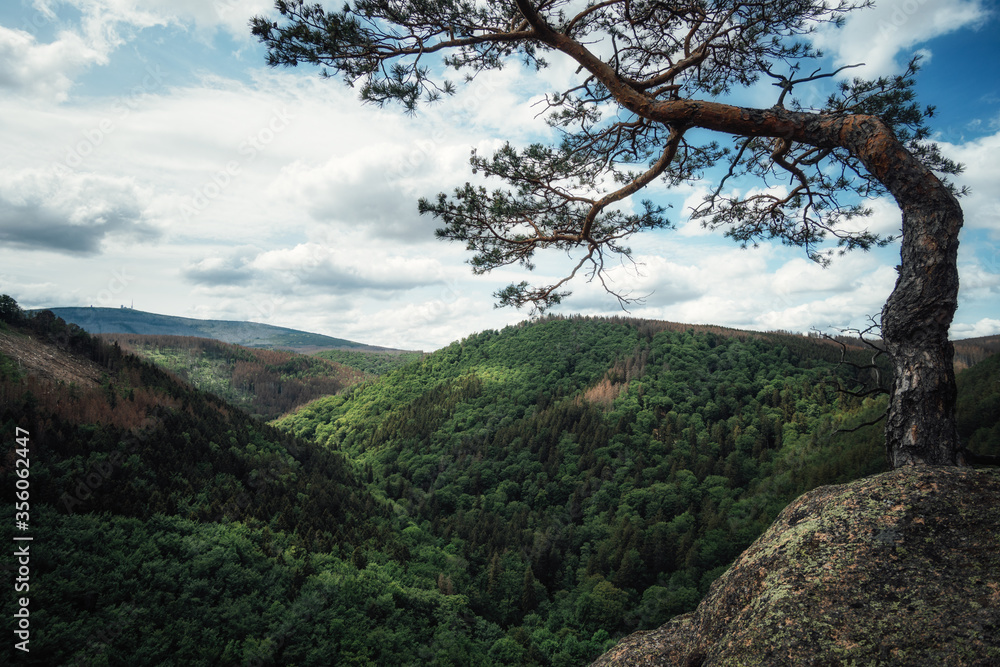 Ausblick auf das Ilsetal vom Ilsestein Ausblick auf das Ilsetal vom Ilsestein
