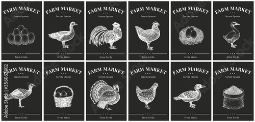Labels with farm animals. Vintage set templates price tags for shops and markets. Vector illustrations on chalk board.