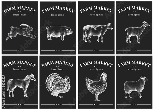 Labels with farm animals. Vintage set templates price tags for shops and markets. Vector illustrations on chalk board.