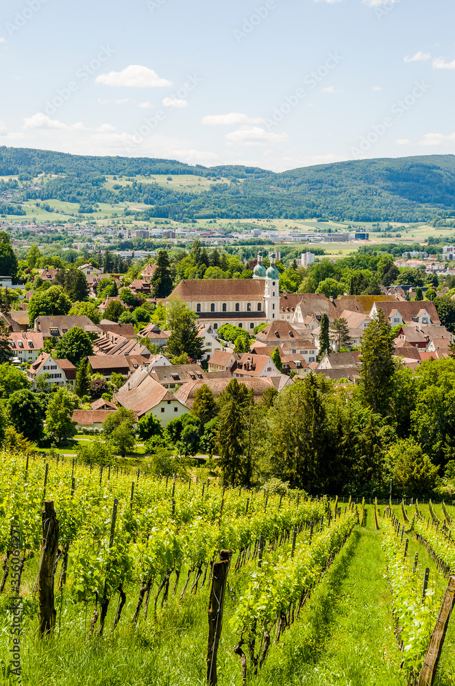 Arlesheim, Arlesheimer Dom, Dom, Domkirche, Weinberg, Dorfplatz, Dorf, Domkirche, Wanderweg, Birstal, Baselland, Sommer, Schweiz Arlesheim, Arlesheimer Dom, Dom, Domkirche, Weinberg, Dorfplatz, Dorf, Domkirche, Wanderweg, Birstal, Baselland, Sommer, Schweiz