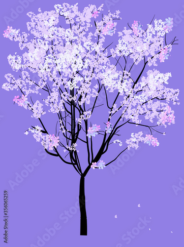 lilac blossoming tree on violet background © Alexander Potapov