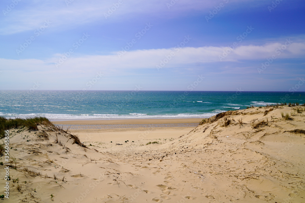sandy dunes access to sea beach in Lacanau ocean in France