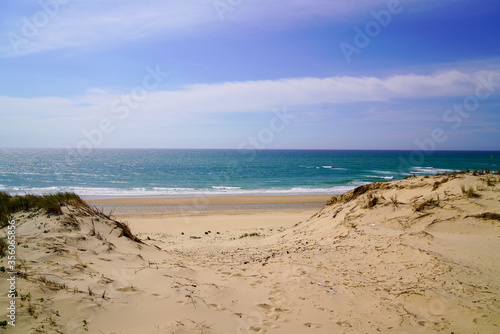 sandy dunes access to sea beach in Lacanau ocean in France