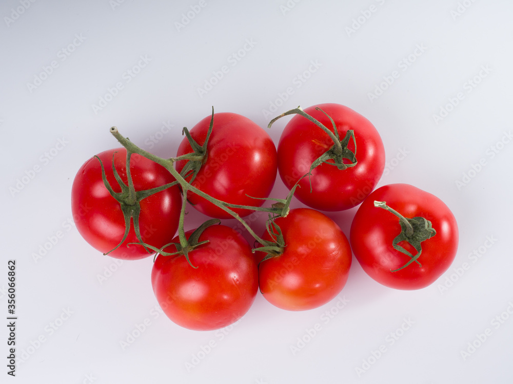 Fresh red tomatoes on a branch on a white background. Studio photography Fresh red tomatoes on a branch on a white background. Studio photography