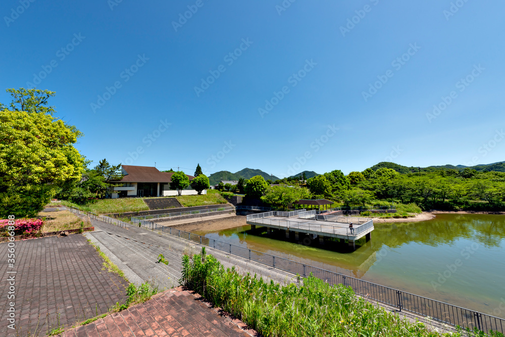 View of Senjoji lake in Sanda city, Hyogo prefecture, Japan in early summer