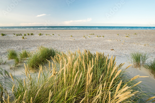 Fototapeta Naklejka Na Ścianę i Meble -  Beach with sand dunes and marram grass in soft sunrise sunset light. Skagen Nordstrand, Denmark. Skagerrak, Kattegat.