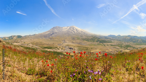 Panorama of Mount St. Hellens with flowers photo