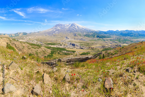 Mount St. Helens from the trail photo