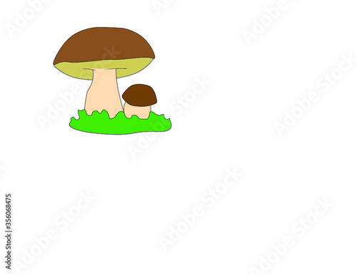 logo disegno adesivo illustrazione per involucro contenitore busta di funghi porcini surgelati secchi disidratati