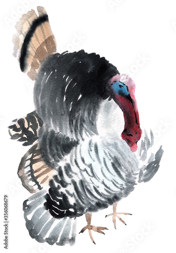 Watercolor illustration of a bird gobbler