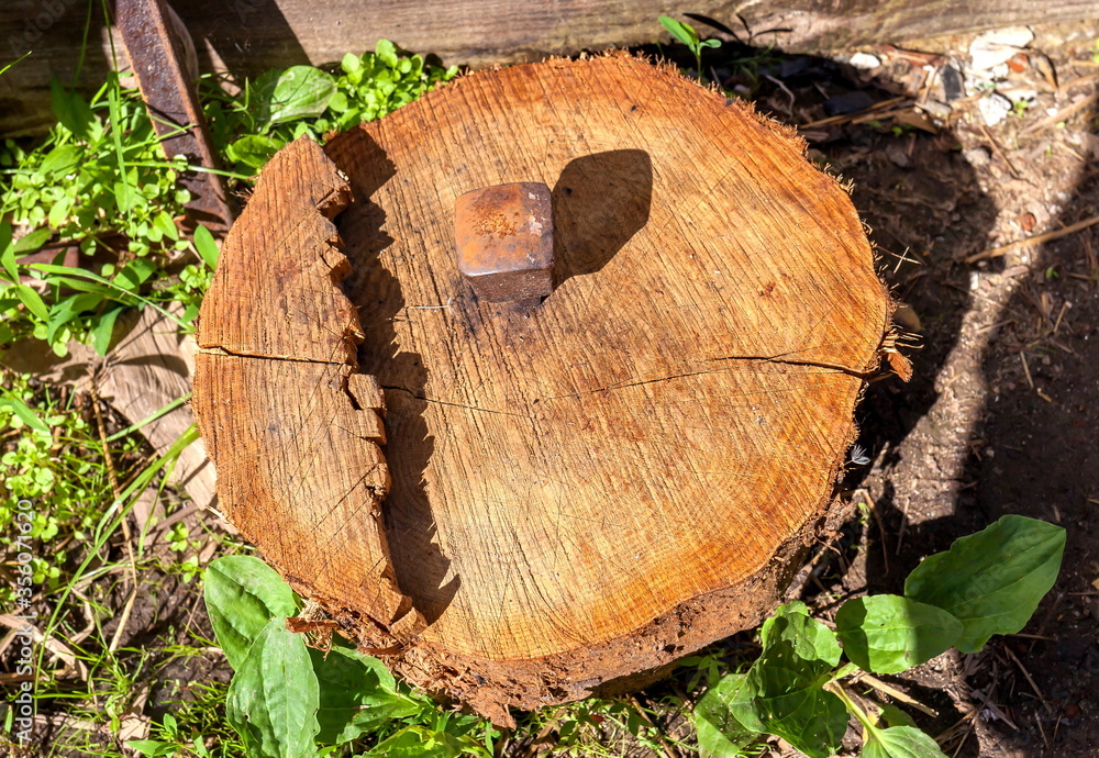 Metal anvil for riveting spit in a wooden block closeup on grass background Metal anvil for riveting spit in a wooden block closeup on grass background