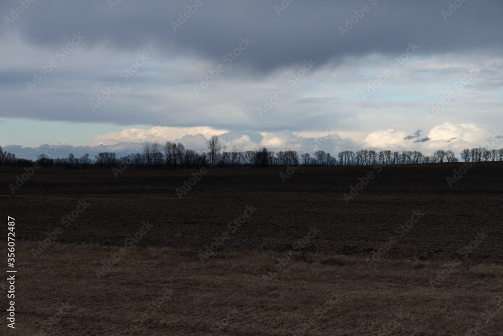 Grove behind a plowed field. Moody landscape. Grove behind a plowed field. Moody landscape.