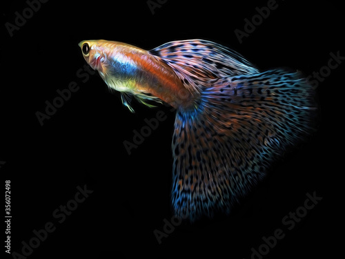 oil paint the guppy and black background.