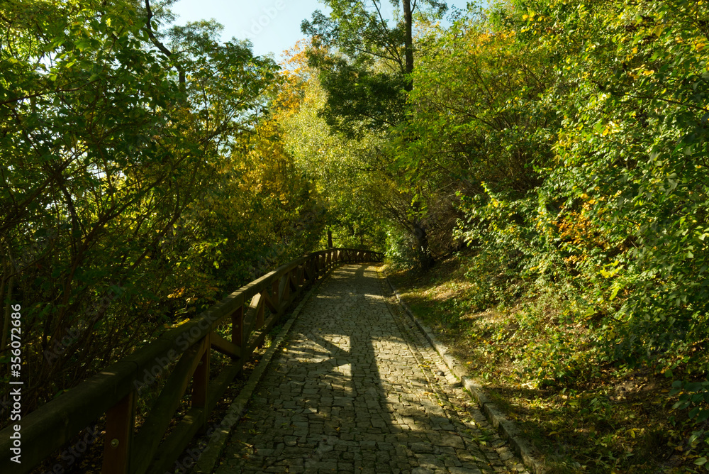 Fototapeta premium Stone paved path in the autumn forest.