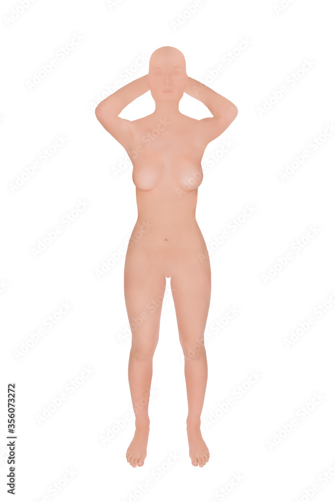 Standing female mannequin, frontal view, isolated in front of white background Standing female mannequin, frontal view, isolated in front of white background
