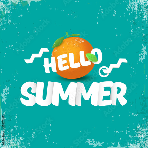 Vector Hello Summer party label or flyer Design template with fresh orange fruit on azure background. Hello summer concept label or poster with fruit and letternig text photo