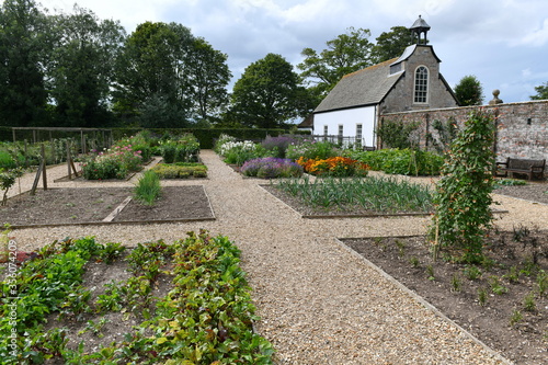 Fototapet english country vegetable garden with allotment plots