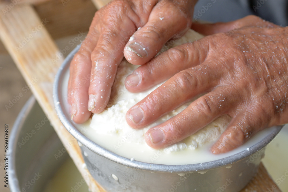 Hands of the shepherd pressing the curd. Forming the curd during the cheese making process Hands of the shepherd pressing the curd. Forming the curd during the cheese making process