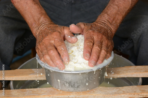 Hands of the shepherd pressing the curd. The pressing of the cheese causes the whey to escape