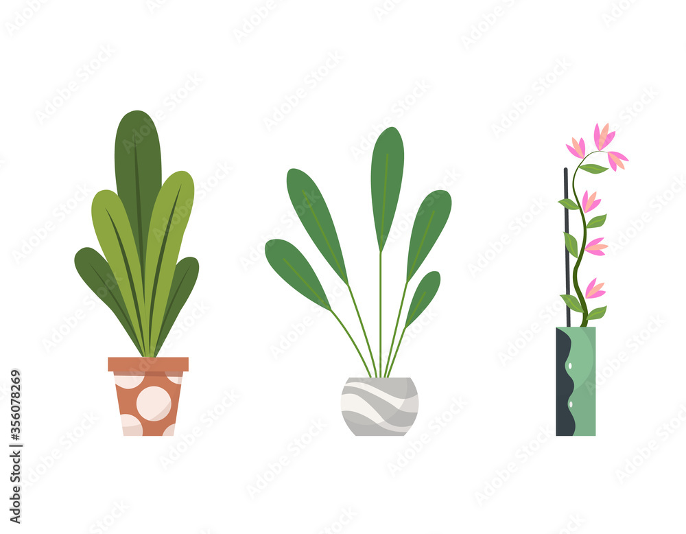 Collection of indoor house plants in pots. Home decorative and deciduous plants in a flat style. Isolated elements on white background