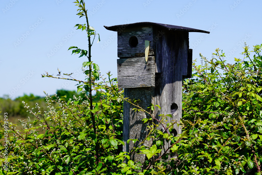 wooden bird house in tree home garden park wooden bird house in tree home garden park