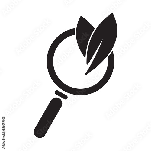 leaf and magnifying glass icon vector