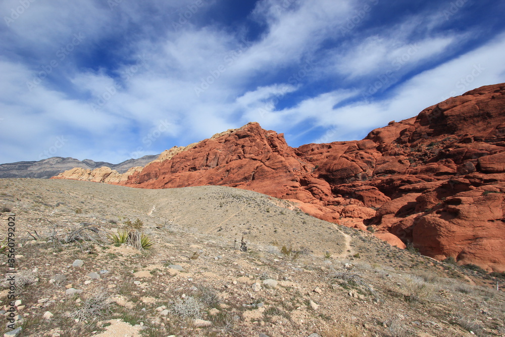 Red rock canyon in Nevada,USA