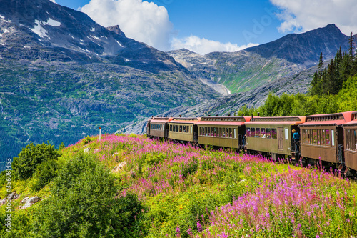 Obraz na płótnie Skagway, Alaska. The scenic White Pass & Yukon Route Railroad. w salonie