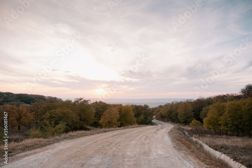 Forest road under cloudy sky. Forest road view. Forest road scene. Forest road landscape