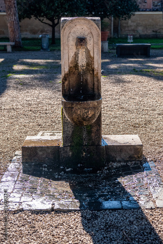 fontanna w formie głowy wilka, Ogród Drzewa Pomarańczowego, Awentyn, Rzym, Włochy